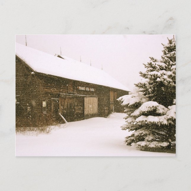 Snowy Vermont Postkarte (Vorderseite)