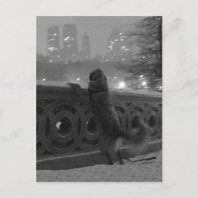 Snowy View von Bow Bridge Central Park Postcard Postkarte (Vorderseite)