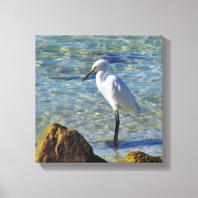 Snowy White Egret im Surf Leinwanddruck (Vorderseite)
