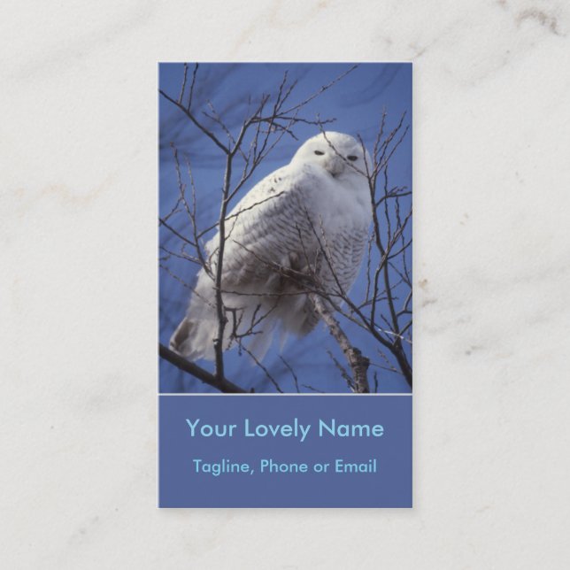 Snowy White-Eule, weißer arktischer Vogel, Visitenkarte (Vorderseite)