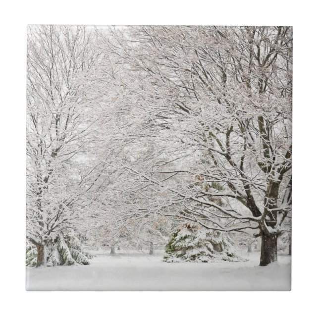 Snowy Winter Forest Fliese (Vorderseite)