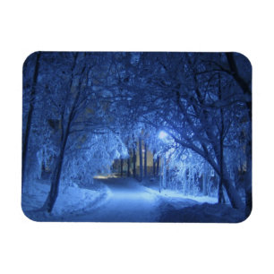 Snowy Winter Night Magnet