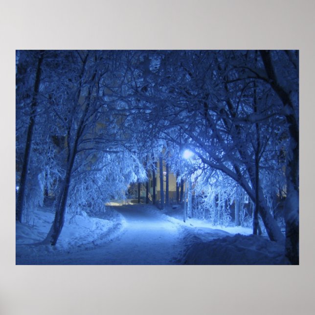 Snowy Winter Night Poster (Vorne)