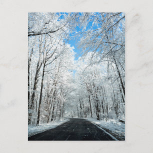 Snowy Winter Road Szene Postkarte