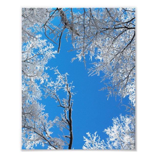 Snowy Winter Scene Fotodruck (Vorne)