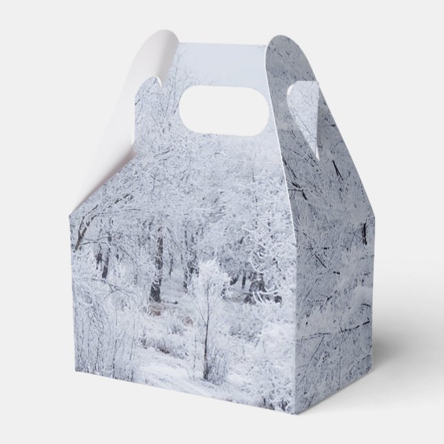Snowy Winter Scene Geschenkschachtel (Vorderseite)