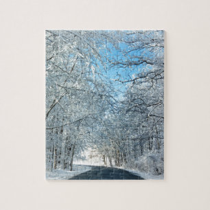 Snowy Winter Trees