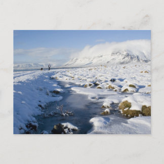 Snowy Winterland Postkarte