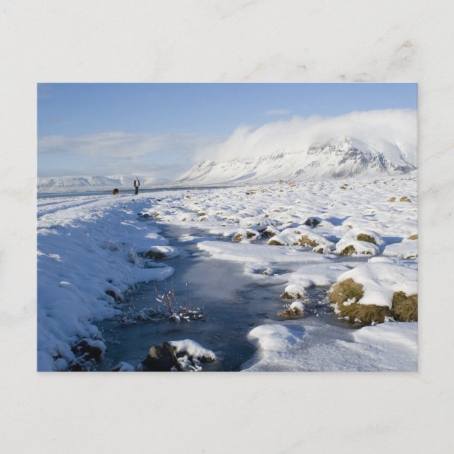Snowy Winterland Postkarte (Vorderseite)
