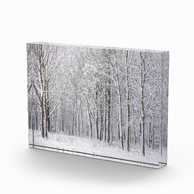Snowy Woods Fotoblock (Rechts)