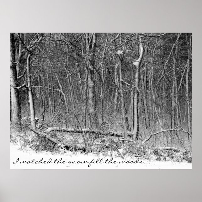 Snowy Woods Poster (Vorne)