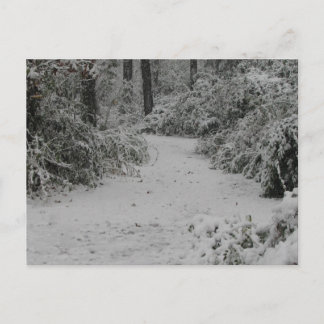 Snowy Woods Postkarte