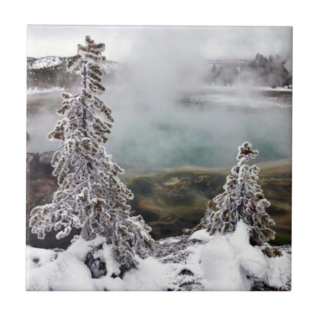 Snowy Yellowstone Fliese (Vorderseite)