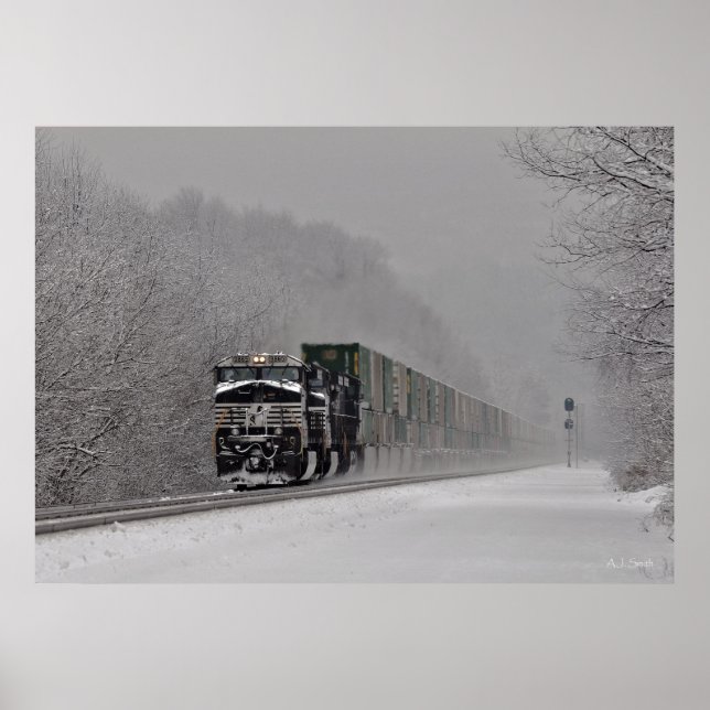Snowy-Zug Poster (Vorne)