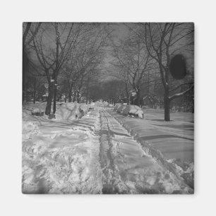 Snowywohnstraße Magnet