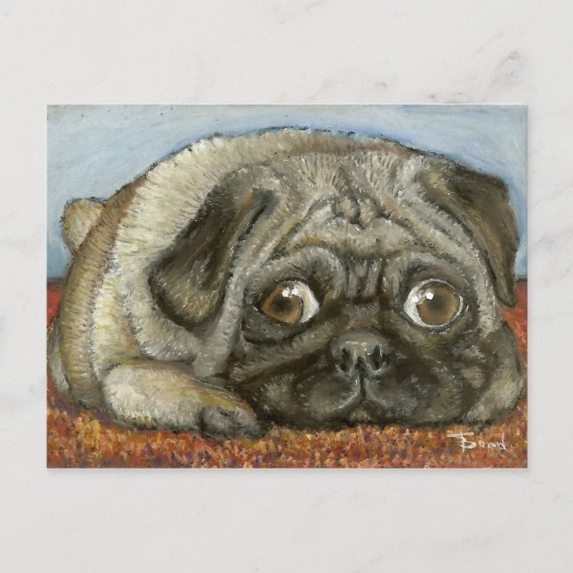 Snug Mops Postkarte (Vorderseite)