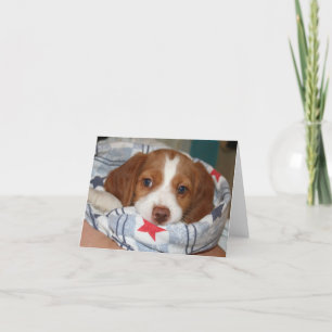 Snuggle Brittany Puppy Notecard Karte