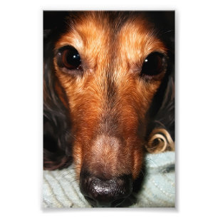 Snuggle Bugs Mackenzie Fotodruck