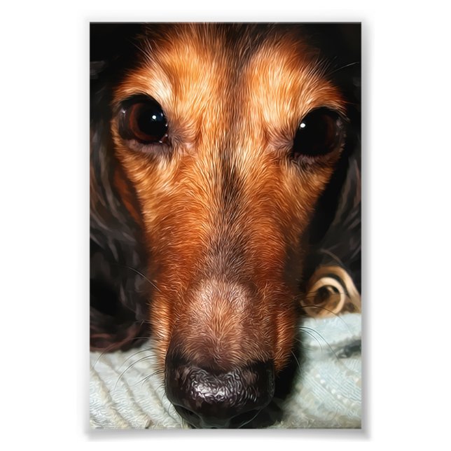 Snuggle hört den Mackenzie ab Fotodruck (Vorne)