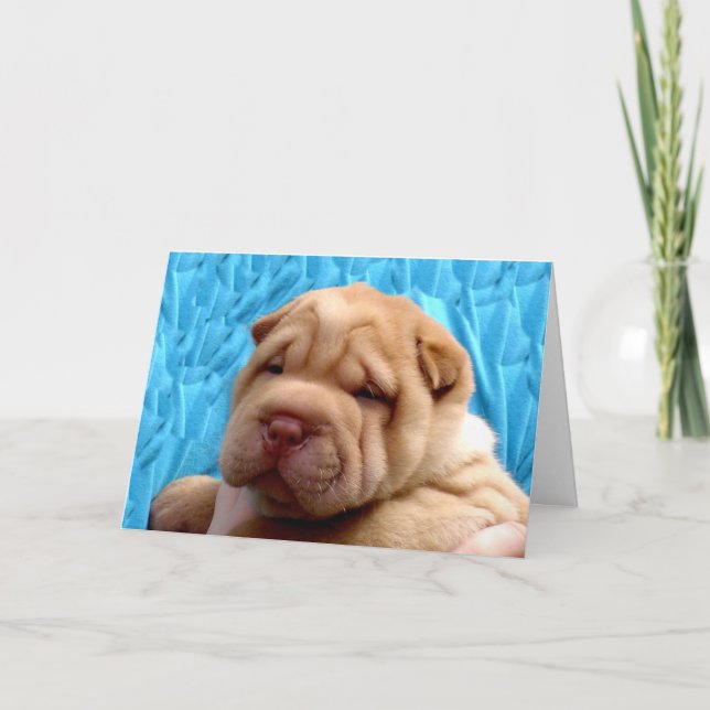 Snuggle Me Greeting Card Karte (Vorderseite)