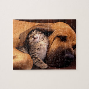 Snuggle Pals Puzzle