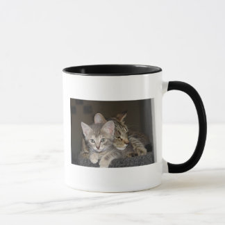 Snuggle Tasse