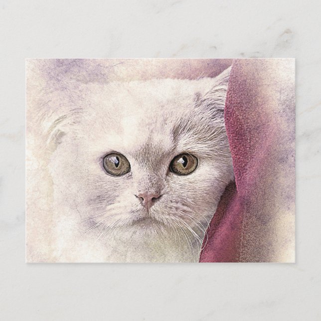 Snuggle Time Kitty | ABSTRAKT | Wasserfarbe Postkarte (Vorderseite)