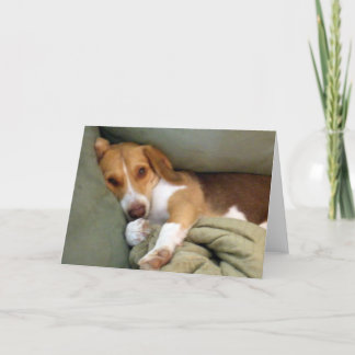 Snuggle-Welpen-Anmerkungs-Karte Karte
