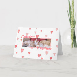 Snuggling Katzen Valentinstagkarte Feiertagskarte