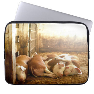 Snuggling Schweine Getty Bild- Laptopschutzhülle