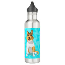 So, glatter, glatter Collie Hund  