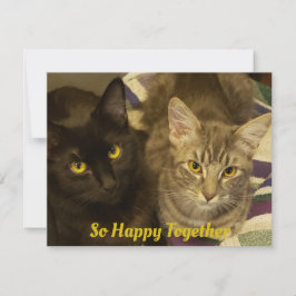 So glücklich zusammen Purfect Valentine zwei Katze Mitteilungskarte