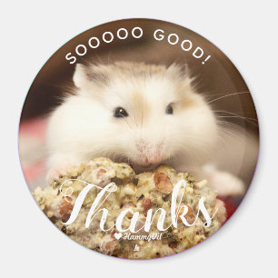 So gut Niedlich White Brown Robo Hamster Magnet