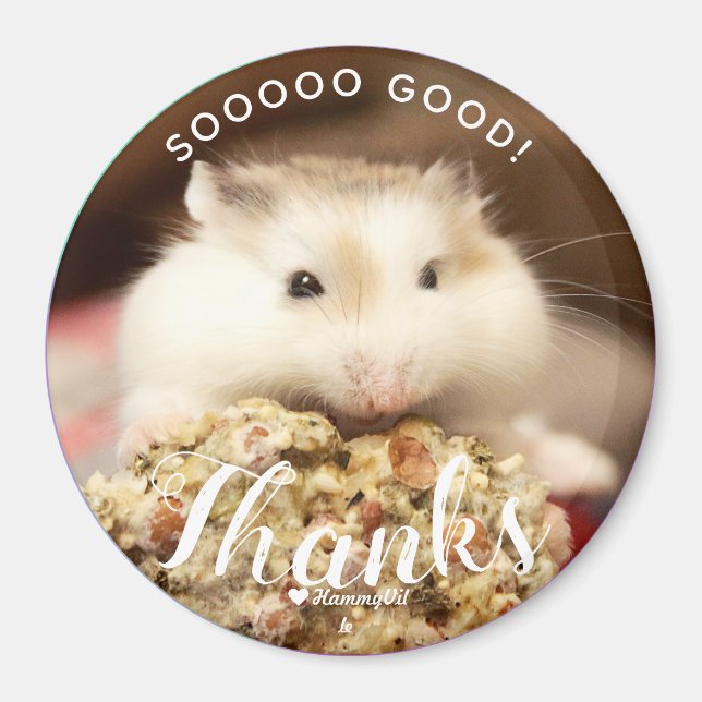 So gut Niedlich White Brown Robo Hamster Magnet (Vorne)