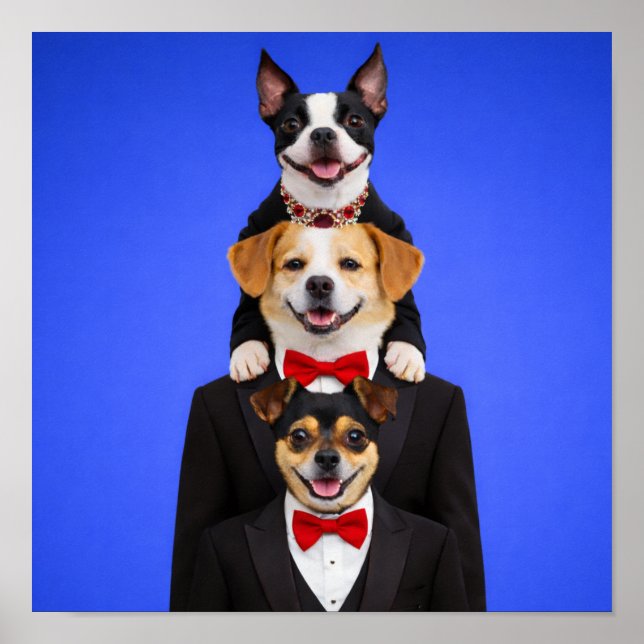 "So Happy Together" Poster (Vorne)