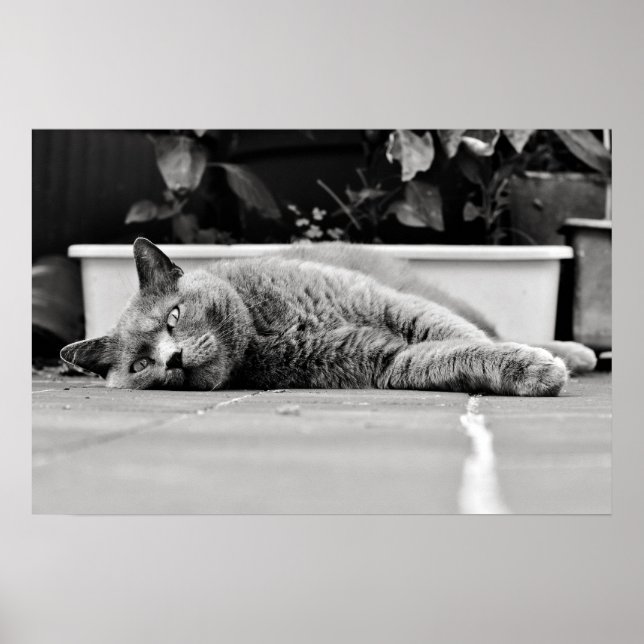 So langweilig... poster (Vorne)