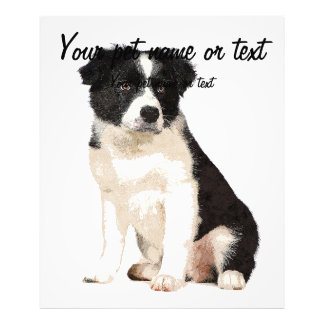 So Niedlich Border Collie Doppy Fotodruck