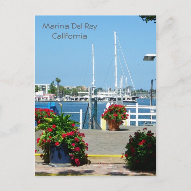 So schön Marina del Rey Postcard! Postkarte (Vorderseite)