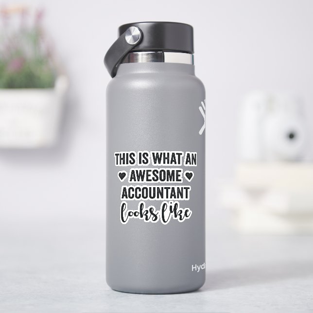 So sieht ein Phantastischer Buchhalter aus Aufkleber (HydroFlask)