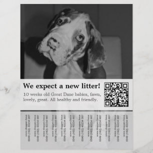 So verkaufen Sie Schwarz-weiße Welpen Flyer