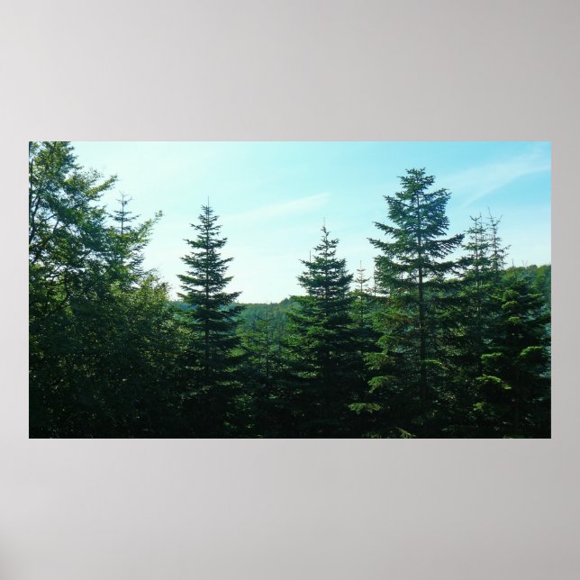 So weit das Auge reicht Poster (Vorne)