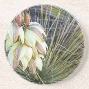 Soaptree-Yucca-Blume im oberen Missouri Untersetzer