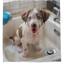 Soapy Wet Puppy Bath Dusche Vorhang