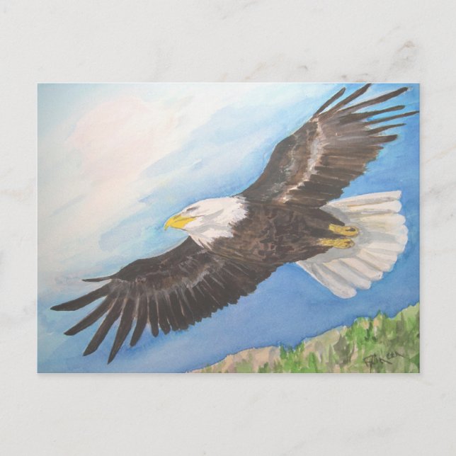 Soaring Bald Eagle Postkarte (Vorderseite)