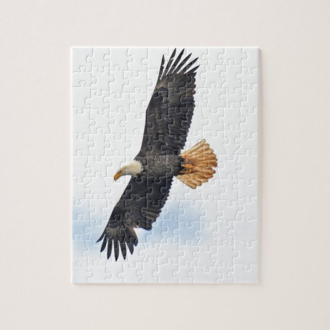 Soaring Bald Eagle Wildife Foto Art (Vertikal)