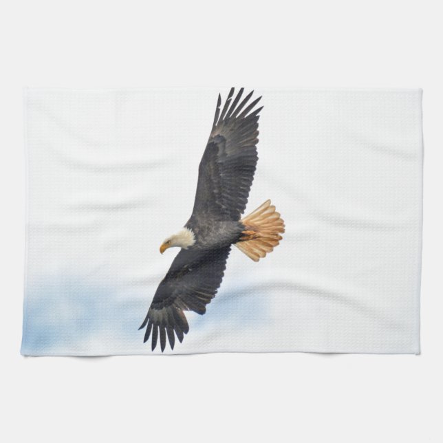 Soaring Bald Eagle Wildife Foto Art Geschirrtuch (Horizontal)
