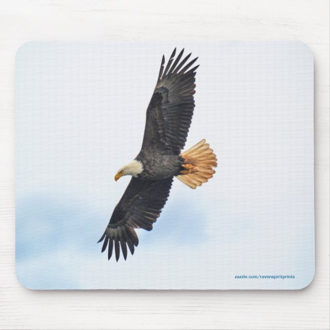 Soaring Bald Eagle Wildife Foto Art Mousepad (Vorne)