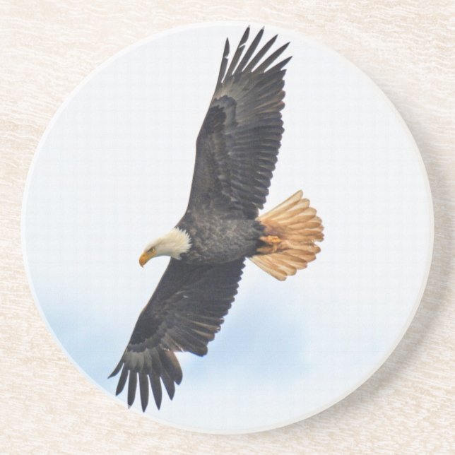 Soaring Bald Eagle Wildife Foto Art Sandstein Untersetzer (Vorne)