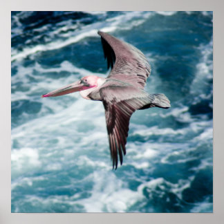 Soaring Poster