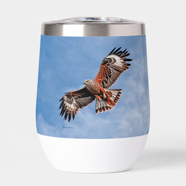Soaring Red Kite (Vorderseite)